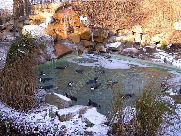 ZOO Zlín-Lešná