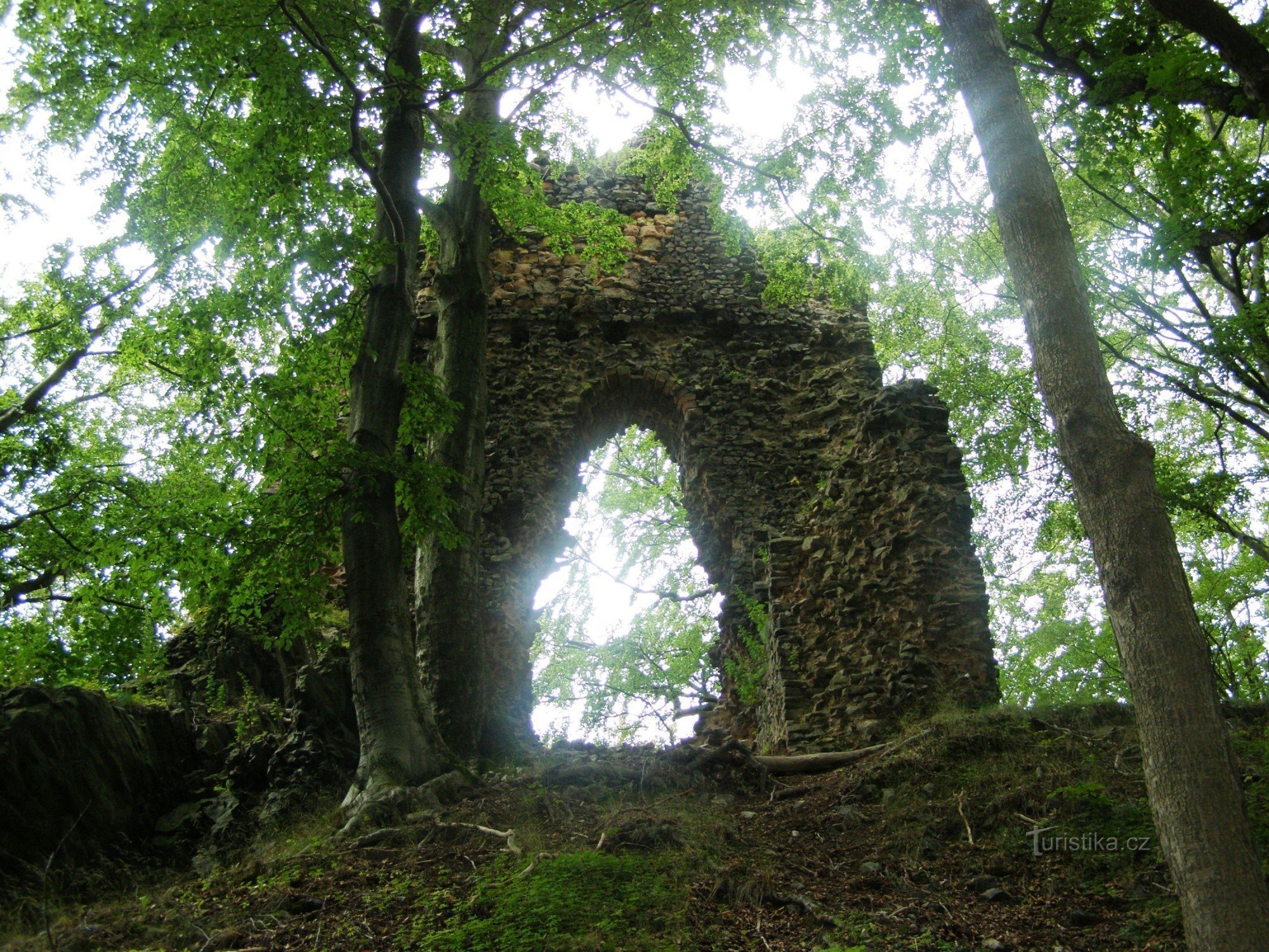 zřícenina hradu Bradlec