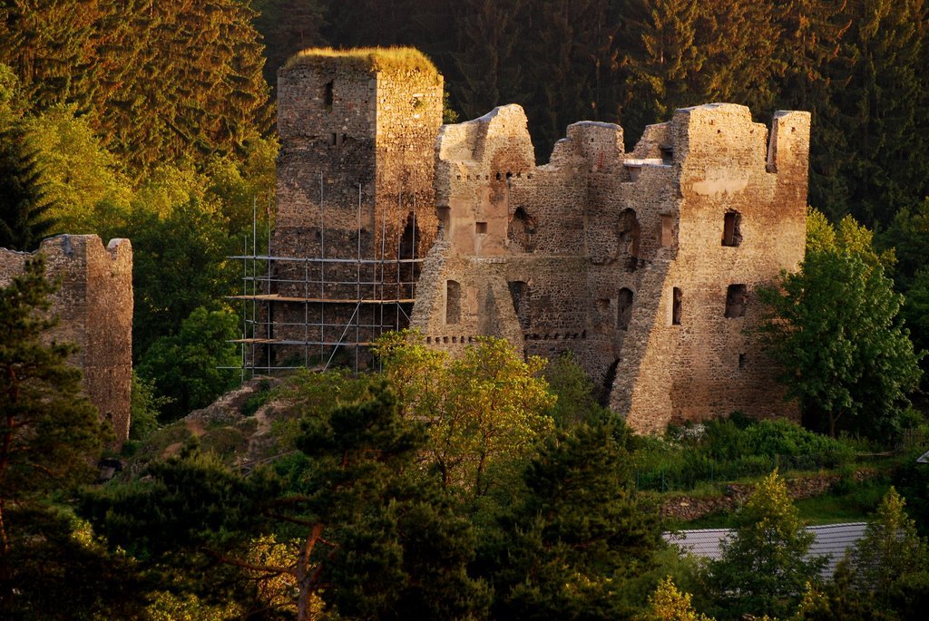 Zřícenina hradu Rokštejn