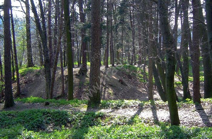 Zruč nad Sázavou
