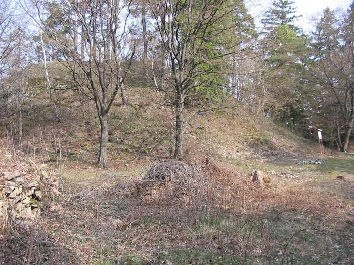 Zvěřinec