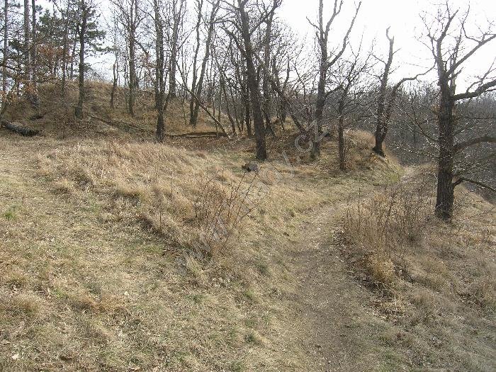 Zvolská homole